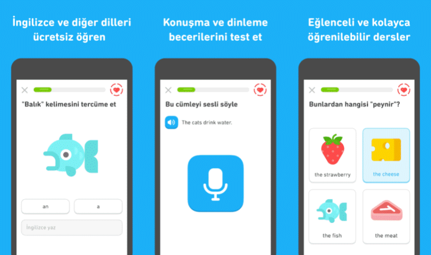 Duolingo İngilizce Uygulaması Nedir